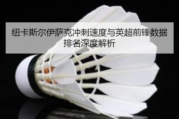 纽卡斯尔伊萨克冲刺速度与英超前锋数据排名深度解析